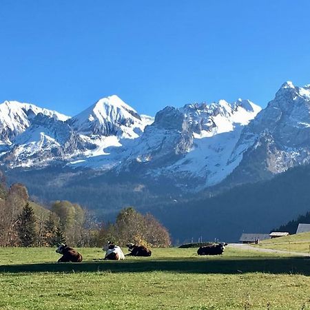 Bel Appartement Avec Vue Exceptionnelle Le Grand-Bornand Buitenkant foto
