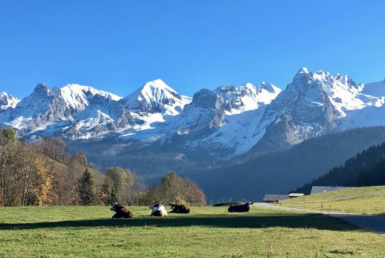 Bel Appartement Avec Vue Exceptionnelle Le Grand-Bornand Buitenkant foto